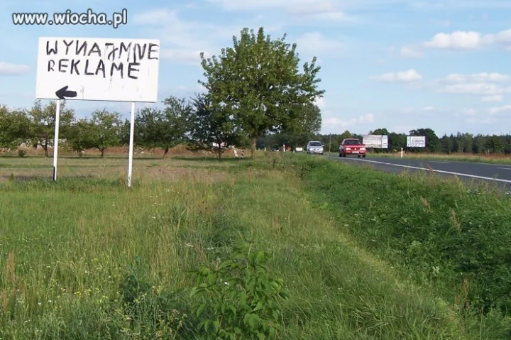 Wynajmne reklame...
