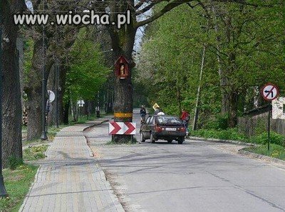 Ludzka głupota!