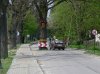 Ludzka głupota!