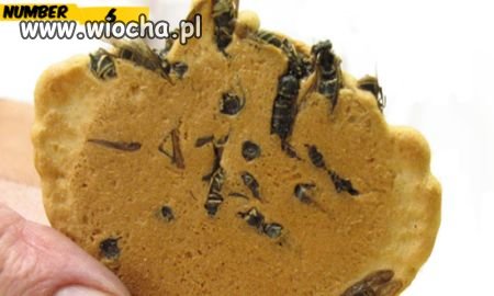Kto ma ochotę