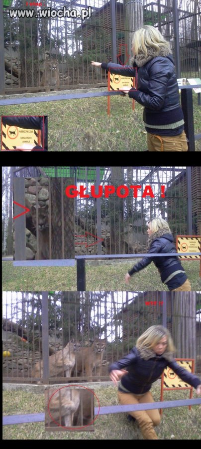 Lewa noga!
