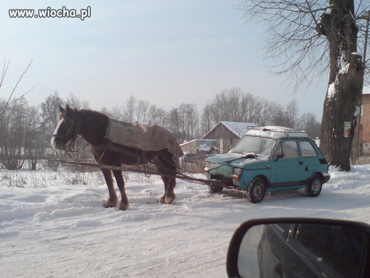Polska.