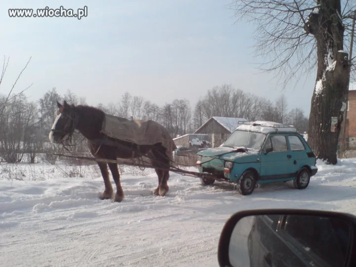 Polska.