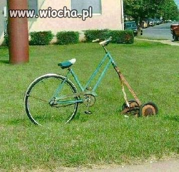 Coś dla leniwych