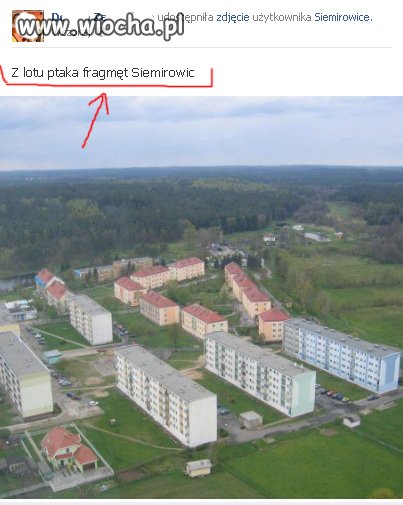 Polska język,