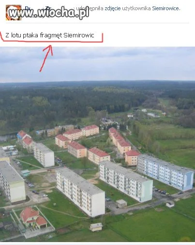 Polska język,