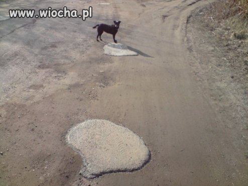 Drogowcy