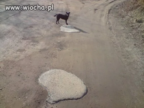 Drogowcy