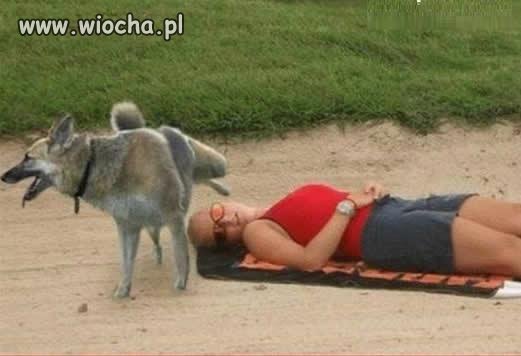 Już rozumiem co znaczy kiedy ludzie...