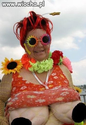 Chyba nic pisać nie muszę 