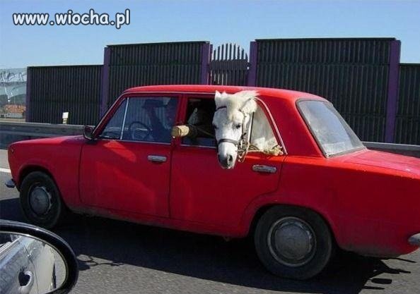 Dziwny pasażer