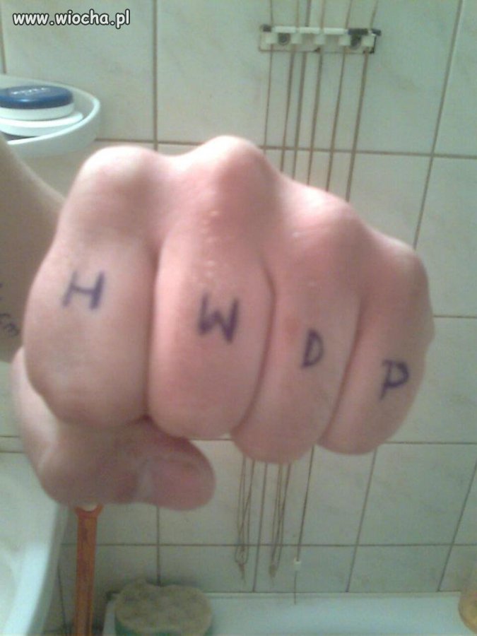 Na łapie HWDP