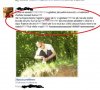 Przemównienie na Facebooku...