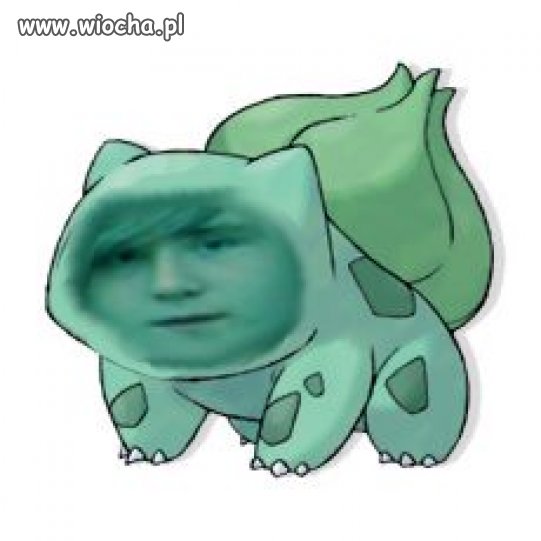 Pokemon 
