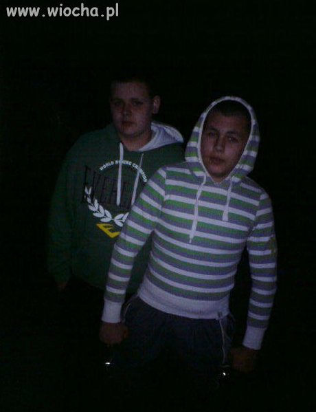 Koksu w damskiej bluzie