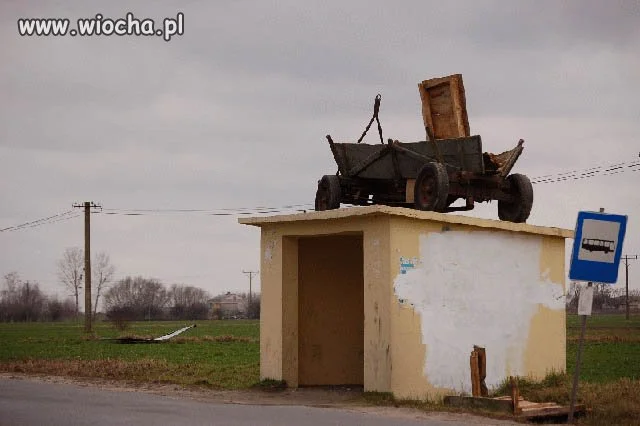 Reklama gminnego transportu?