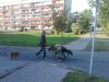 ŻULE