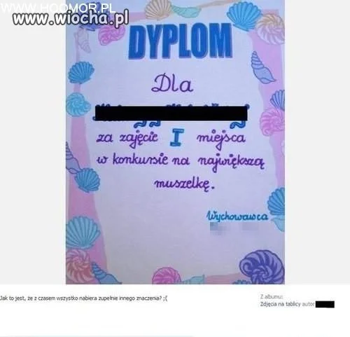 Największa muszelka