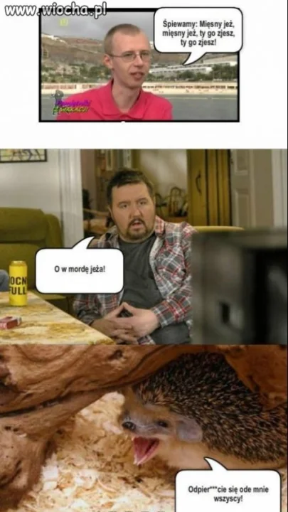 Mięsny jeż