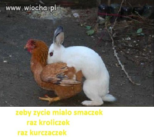 Wielkanoc sie zbliza  