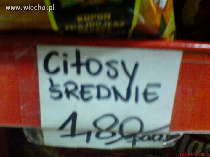 Citosy