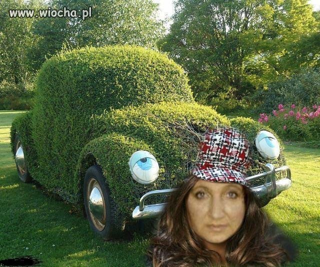 Moje autko...