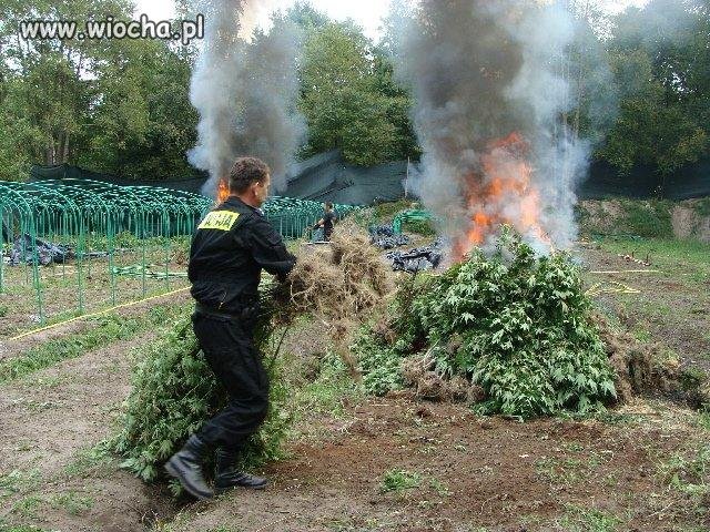 A podobno