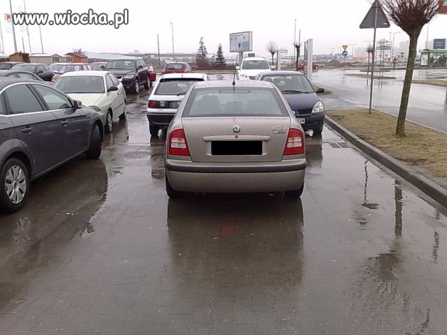 Takie tam na parkingu Praktiker Poznań