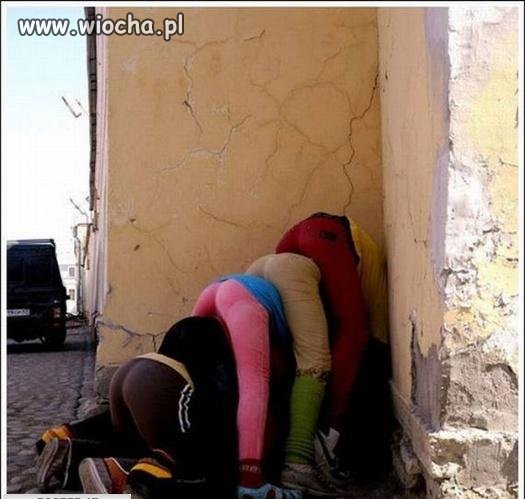 Z serii: wtf?