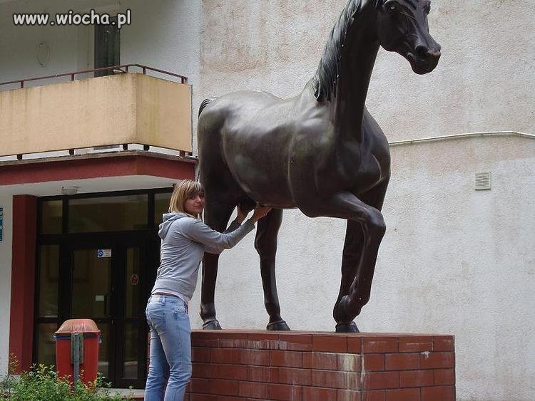 To są moje jaja laski