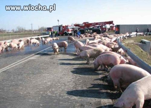 Wycieczka 