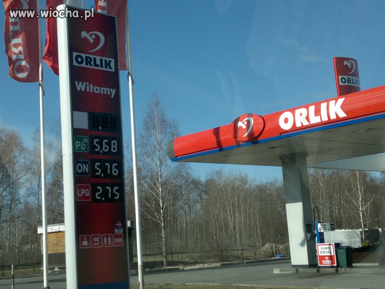 CWANIACZKI.PATRZ GDZIE TANKUJESZ