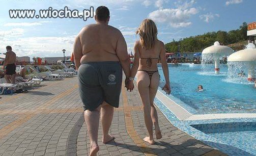 Z serii
