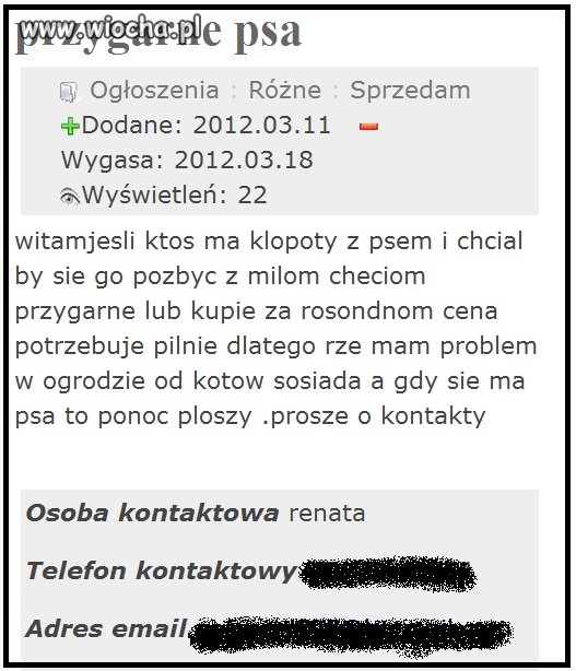 Pies ponoć płoszy koty 