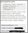 Pies ponoć płoszy koty 