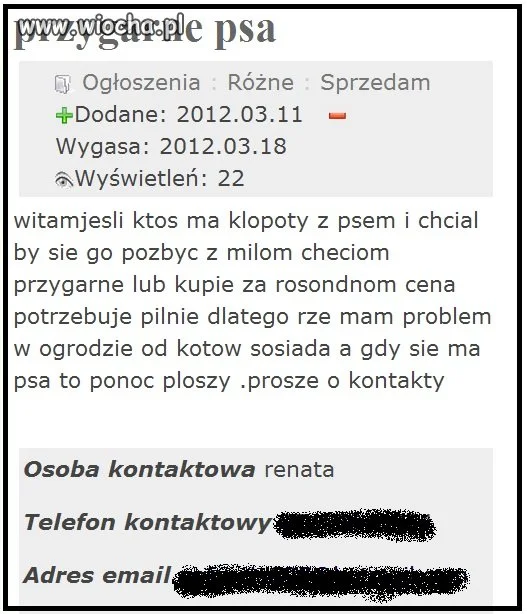 Pies ponoć płoszy koty 