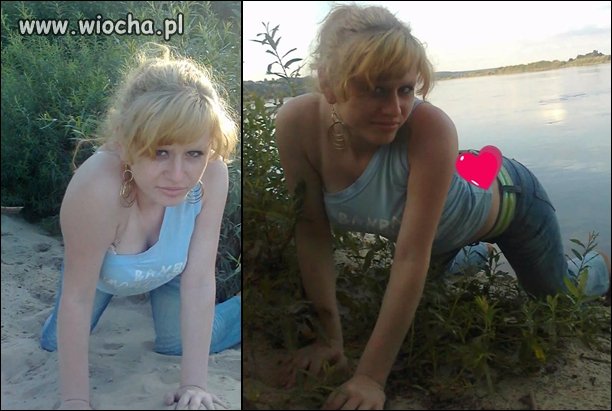 Dzika kotka...