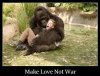 Make love not war 