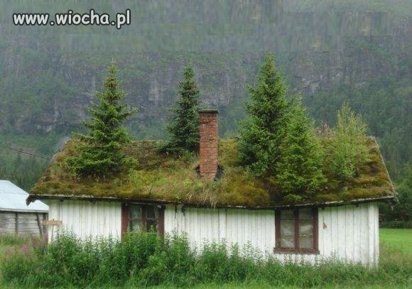 Stary wpadaj...