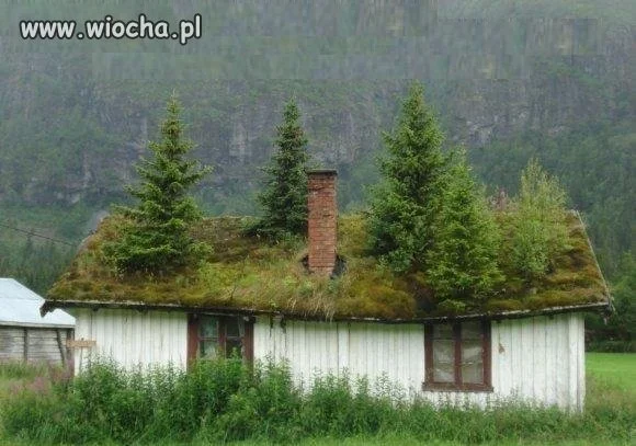 Stary wpadaj...