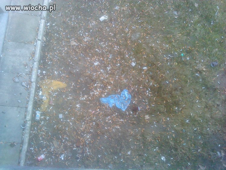 Takie coś metr od ściany szpitala w Janowie Lub.