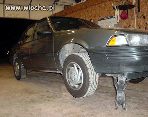 Wpatrz się w szczegóły...