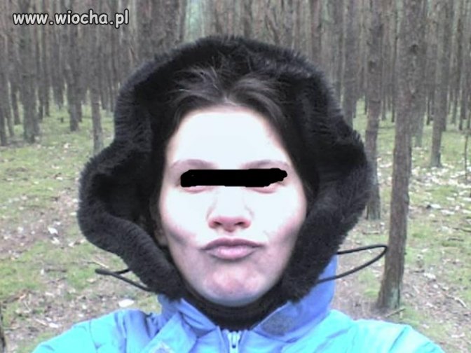 Kaczka