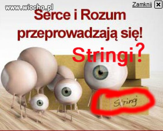 Już nie mają czego na siebie ubierać?