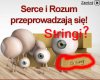 Już nie mają czego na siebie ubierać?