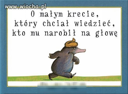 Nowa bajka