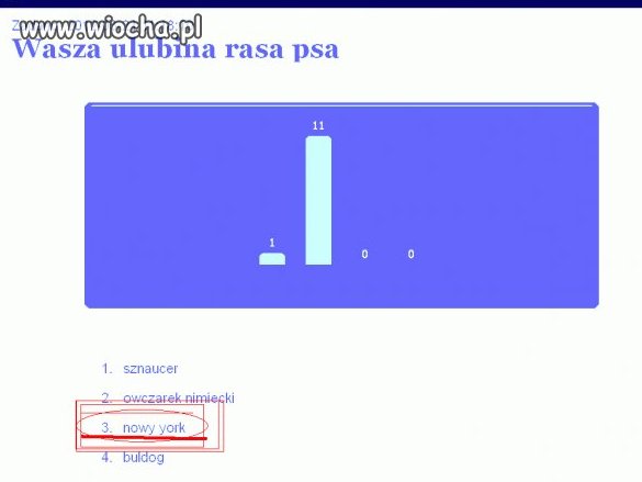 A wy znacie tę nową rasę psa?