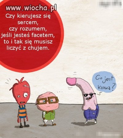 Nowa reklama TP
