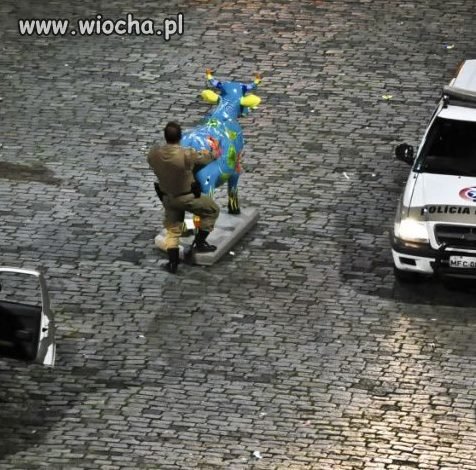 Pan policjant w akcji 