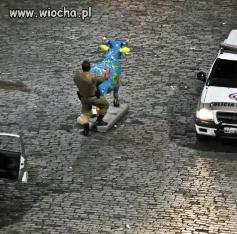 Pan policjant w akcji 